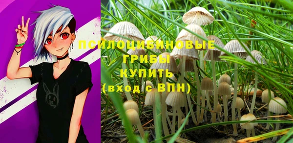 стаф Алзамай