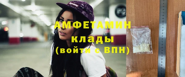 стаф Алзамай