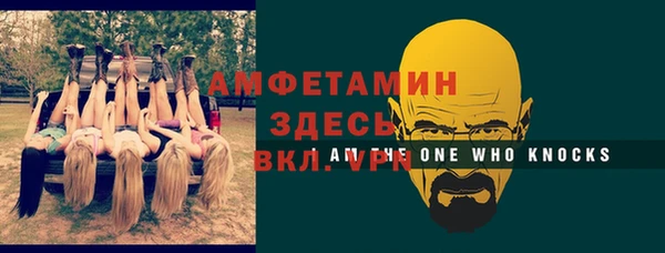 стаф Алзамай