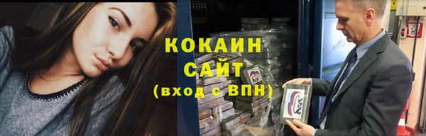 стаф Алзамай