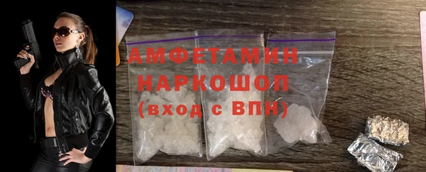 стаф Алзамай