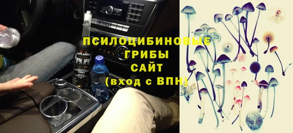 стаф Алзамай