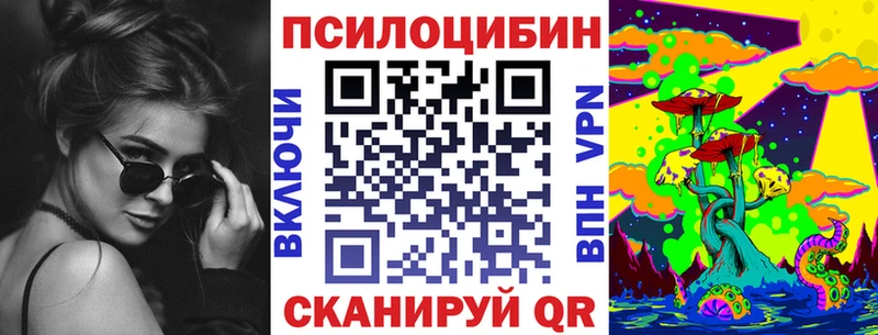 наркошоп  Курлово  Галлюциногенные грибы Cubensis 